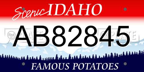 AB82845 Idaho License Plate