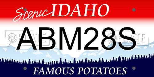 ABM28S Idaho License Plate