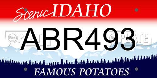 ABR493 Idaho License Plate