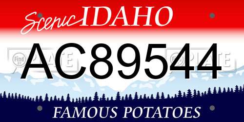 AC89544 Idaho License Plate