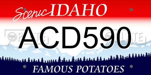ACD590 Idaho License Plate
