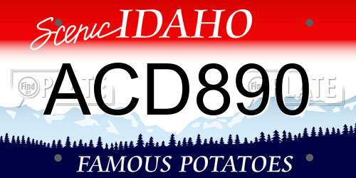 ACD890 Idaho License Plate