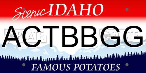 ACTBBGG Idaho License Plate