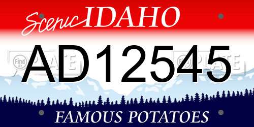 AD12545 Idaho License Plate