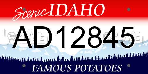AD12845 Idaho License Plate