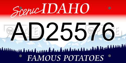 AD25576 Idaho License Plate