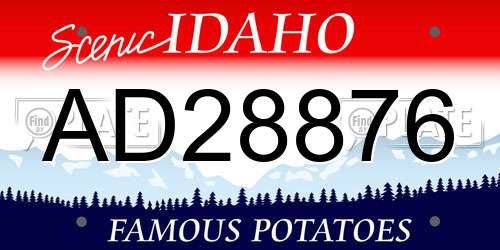 AD28876 Idaho License Plate