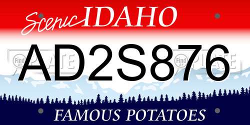 AD2S876 Idaho License Plate