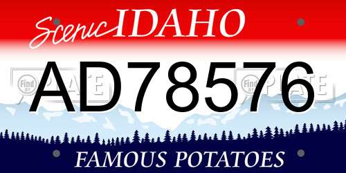 AD78576 Idaho License Plate