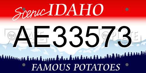 AE33573 Idaho License Plate