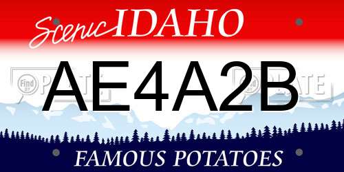 AE4A2B Idaho License Plate