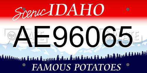 AE96065 Idaho License Plate