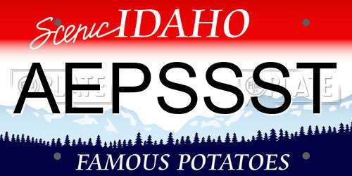 AEPSSST Idaho License Plate