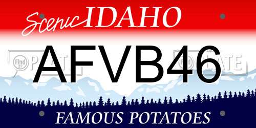 AFVB46 Idaho License Plate