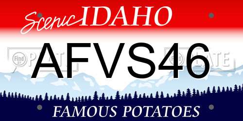 AFVS46 Idaho License Plate