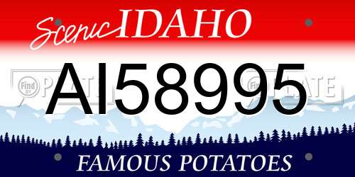 AI58995 Idaho License Plate