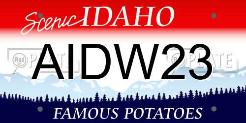 AIDW23 Idaho License Plate