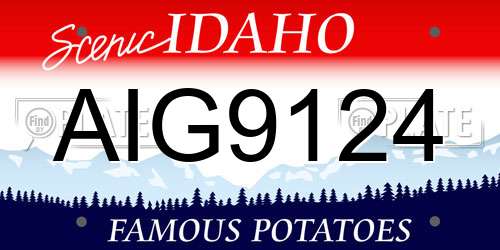 AIG9124 Idaho License Plate