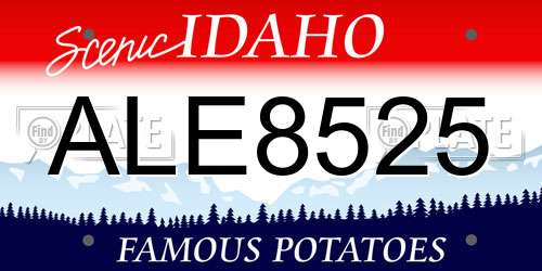 ALE8525 Idaho License Plate