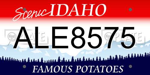 ALE8575 Idaho License Plate