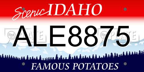 ALE8875 Idaho License Plate