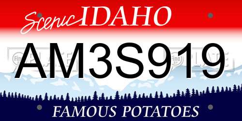 AM3S919 Idaho License Plate