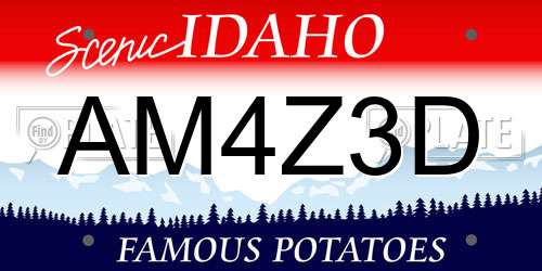 AM4Z3D Idaho License Plate