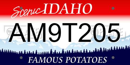 AM9T205 Idaho License Plate