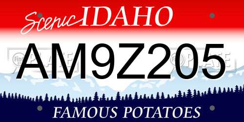 AM9Z205 Idaho License Plate