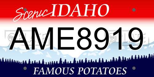 AME8919 Idaho License Plate