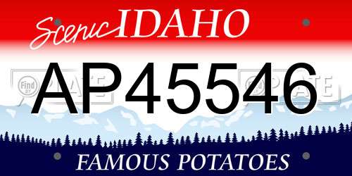 AP45546 Idaho License Plate