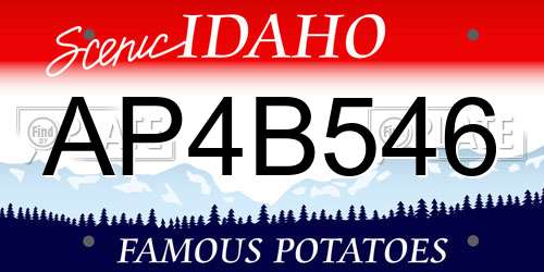 AP4B546 Idaho License Plate