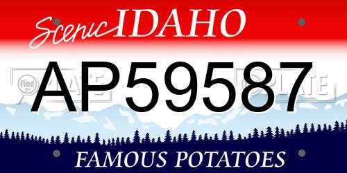 AP59587 Idaho License Plate
