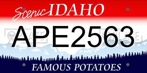 APE2563 Idaho License Plate