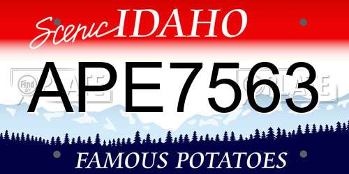 APE7563 Idaho License Plate