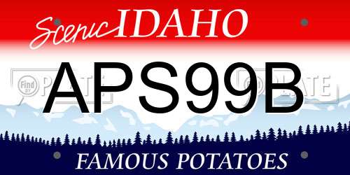 APS99B Idaho License Plate