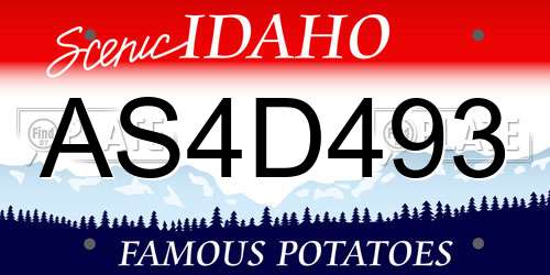 AS4D493 Idaho License Plate