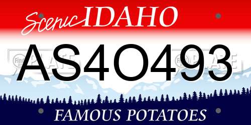 AS4O493 Idaho License Plate