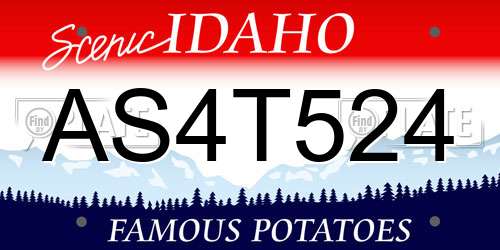 AS4T524 Idaho License Plate