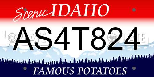 AS4T824 Idaho License Plate