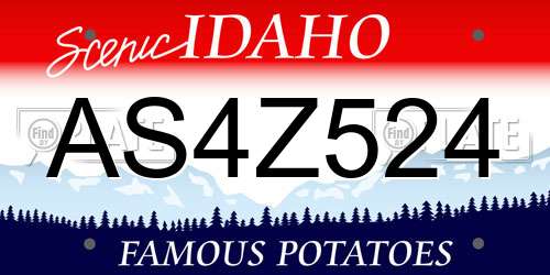 AS4Z524 Idaho License Plate