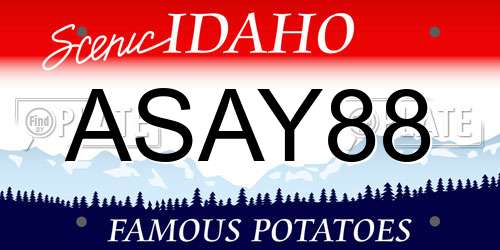 ASAY88 Idaho License Plate