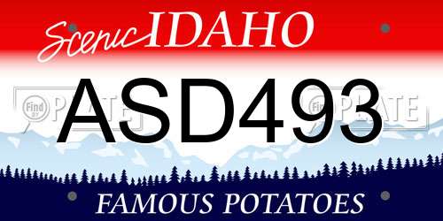 ASD493 Idaho License Plate