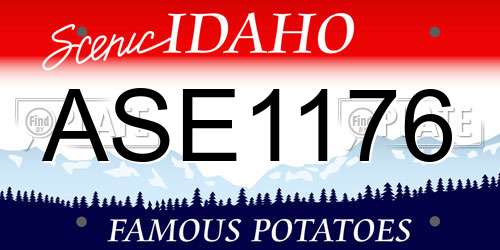 ASE1176 Idaho License Plate