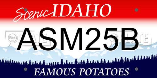 ASM25B Idaho License Plate