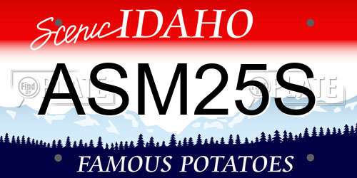 ASM25S Idaho License Plate