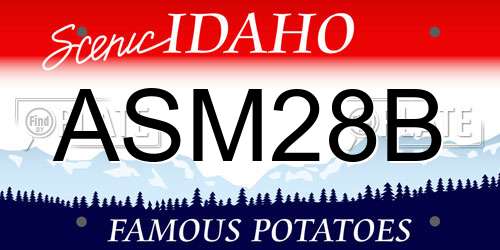 ASM28B Idaho License Plate