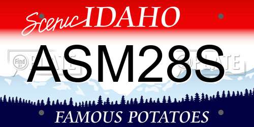ASM28S Idaho License Plate