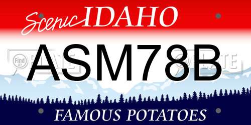 ASM78B Idaho License Plate