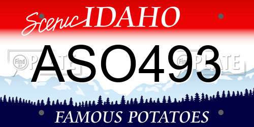 ASO493 Idaho License Plate